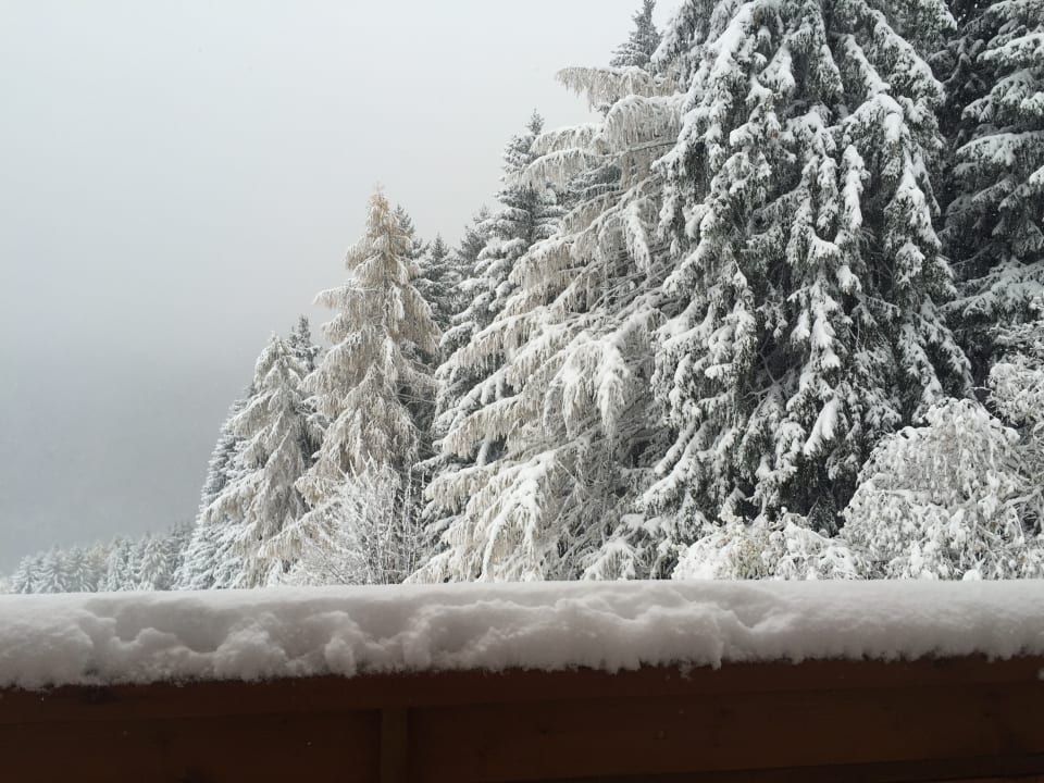 Ausblick Gasthof Pension Greitererhof