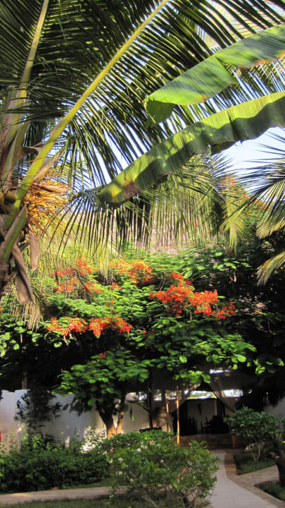 Garten My Blue Hotel