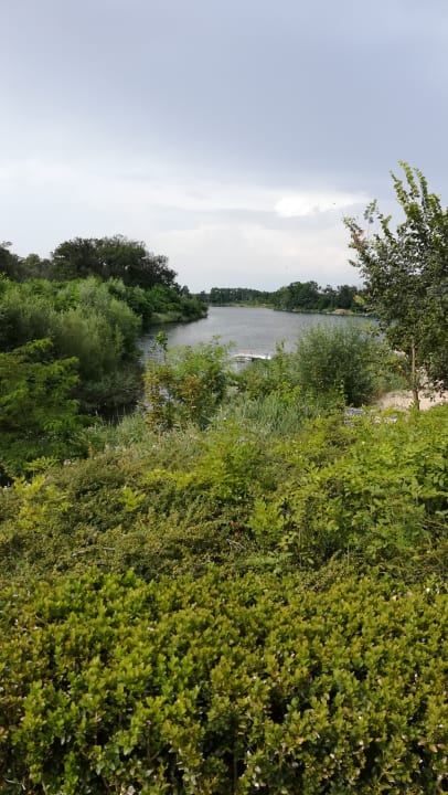 Gartenanlage Hotel Acamed Resort