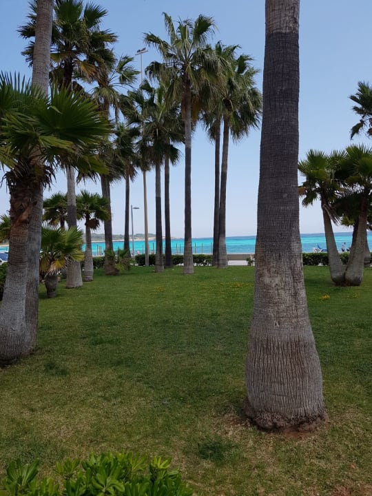 Außenansicht Hipotels Mediterraneo