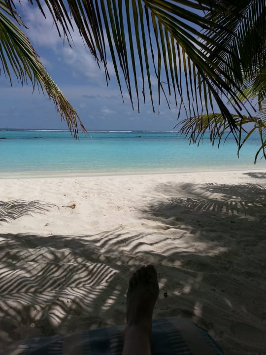 Strand Summer Island Maldives