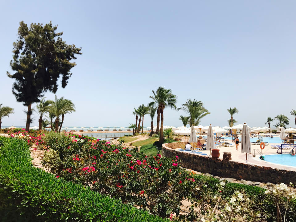 Gartenanlage Mövenpick Resort & Spa El Gouna