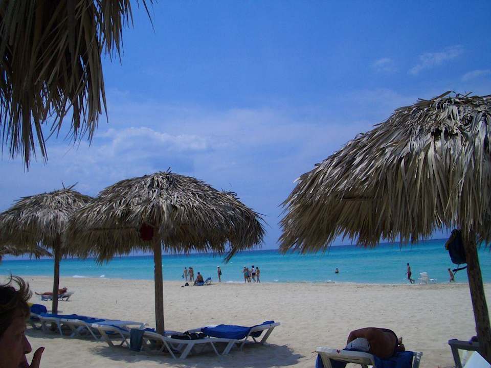 Strand Starfish Cuatro Palmas