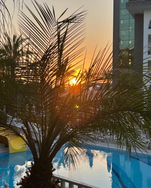 Pool Well Palace Side