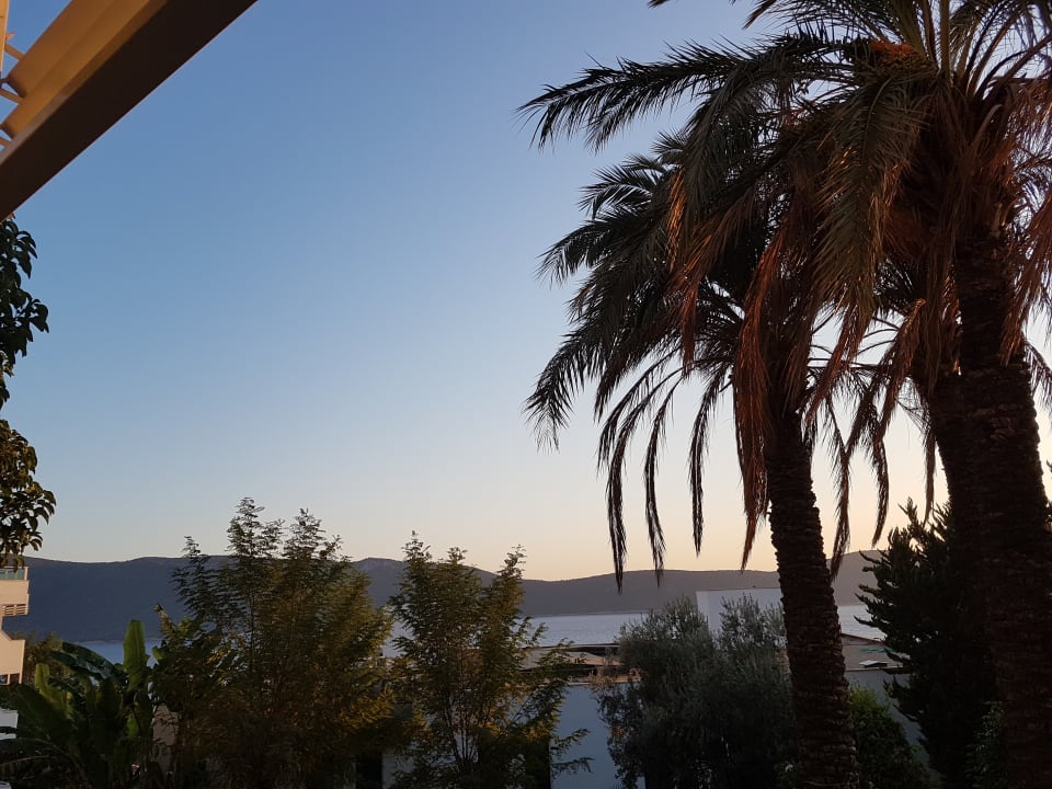 Gartenanlage Bodrum Holiday Resort & Spa