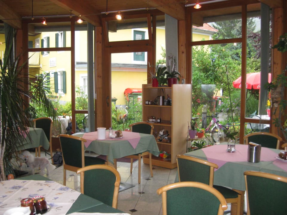 Frühstückrestaurant im Wintergarten Gasthof Pachler zum Schmiedwirt