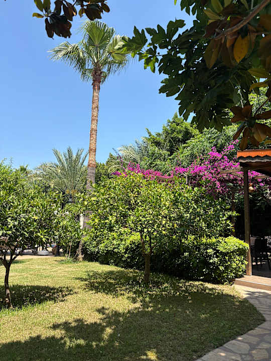 Gartenanlage Telatiye Resort