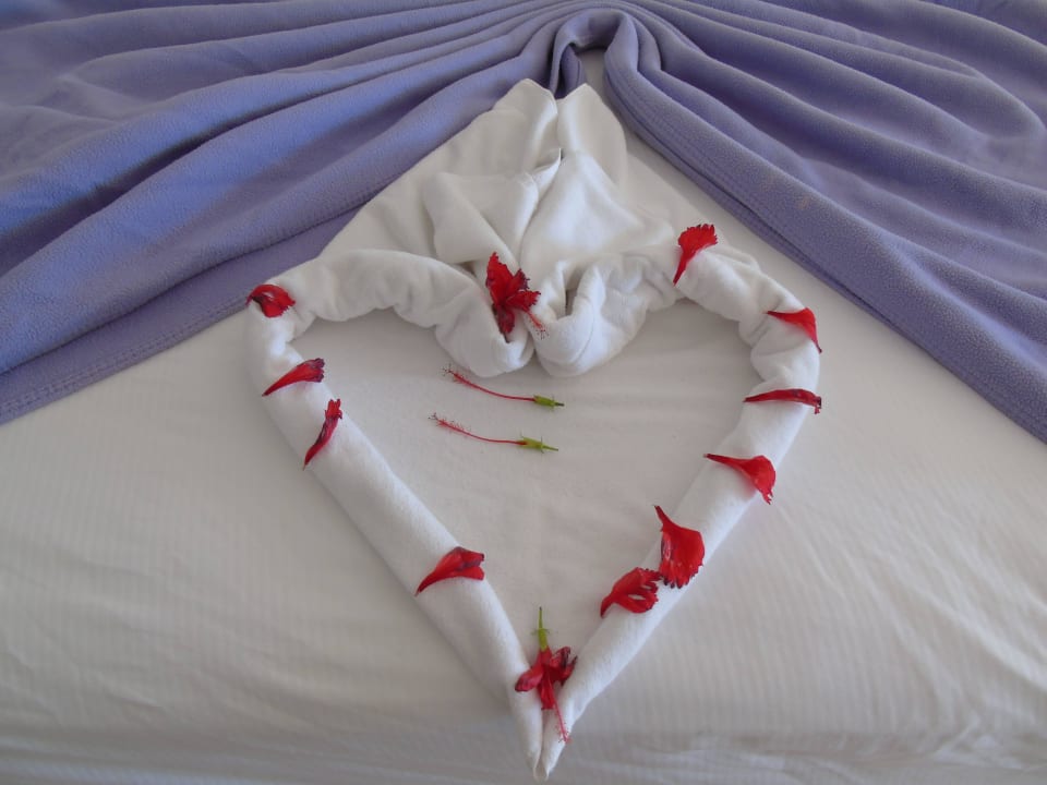 Zimmer Hotel Riu Palace Macao - Adults only