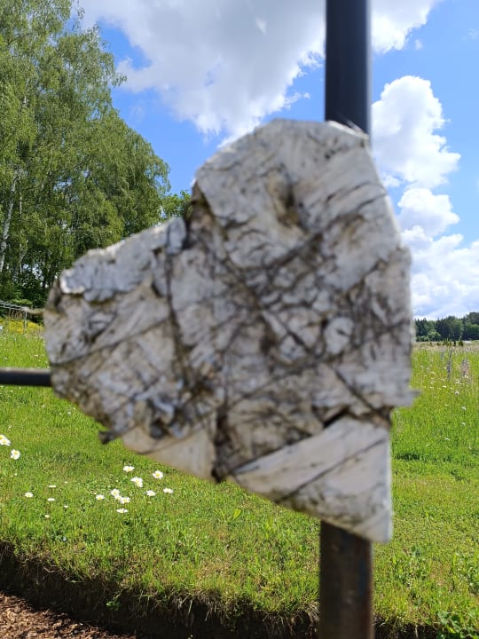 Gartenanlage Spirit & SPA Hotel Birkenhof am Elfenhain