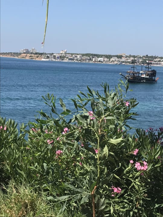 Strand Anadolu Hotels Didim Club