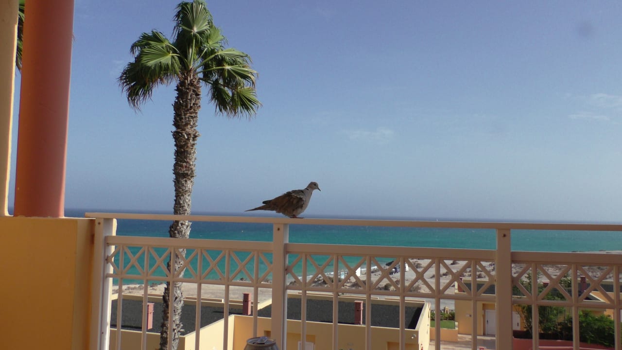 Ausblick H10 Playa Esmeralda - Adults only