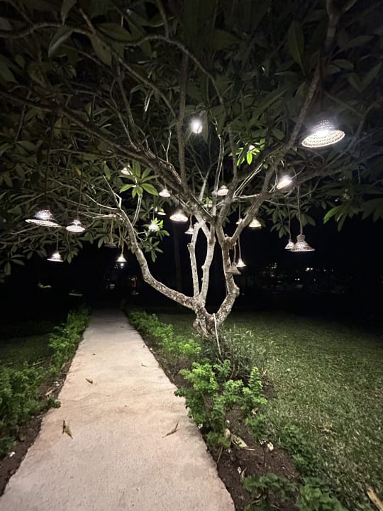 Gartenanlage Hotel Kiwengwa Beach Resort