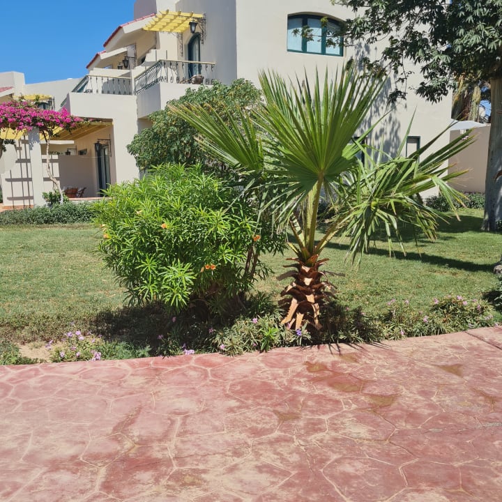 Gartenanlage Lotus Bay Beach Resort