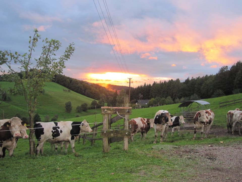 Herrliche Sonnenuntergänge Entspannung pur Ferienwohnungen Grub-Daniel-Hof