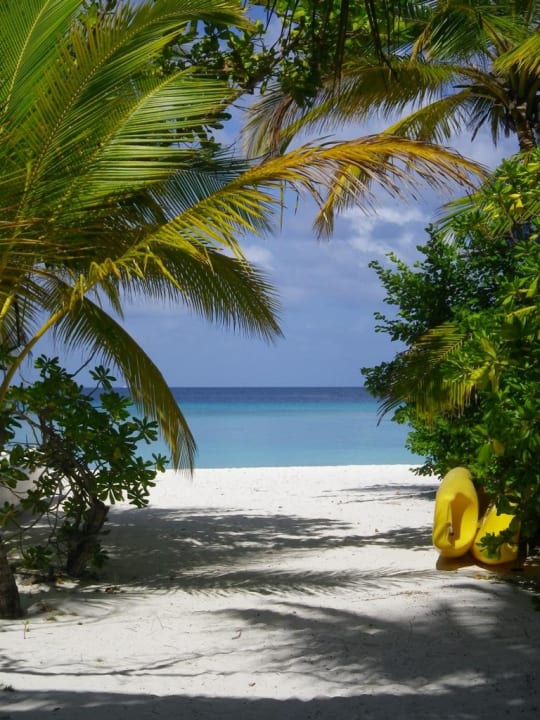 Piękny widok Summer Island Maldives