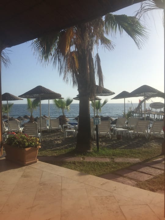 Gartenanlage Club Dizalya