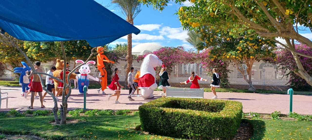 Sport & Freizeit Desert Rose