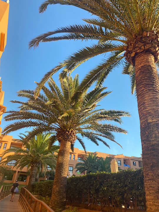 Außenansicht Insotel Club Tarida Playa