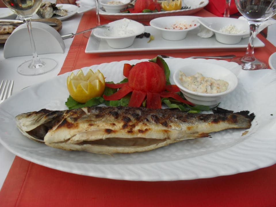 Lecker Fisch Hane Family Resort