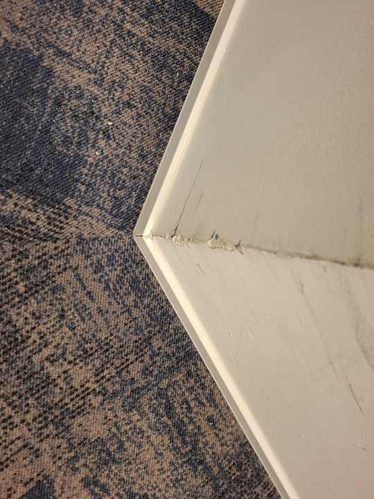 Zimmer Hotel Convictus Cracovia for business & travellers