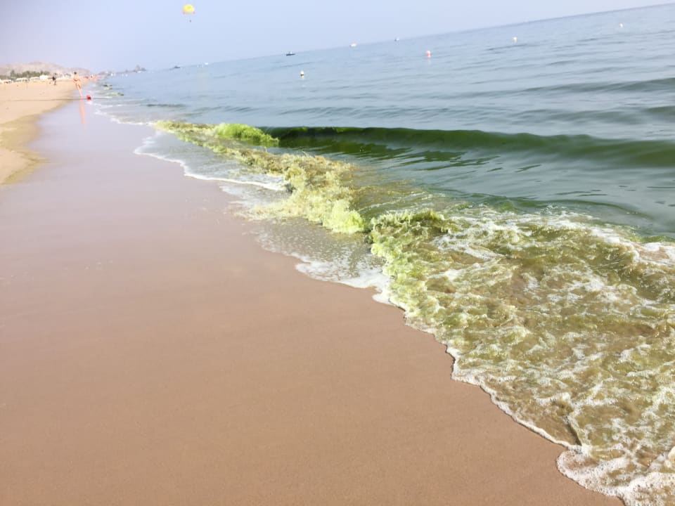 Strand Miramar Al Aqah Beach Resort