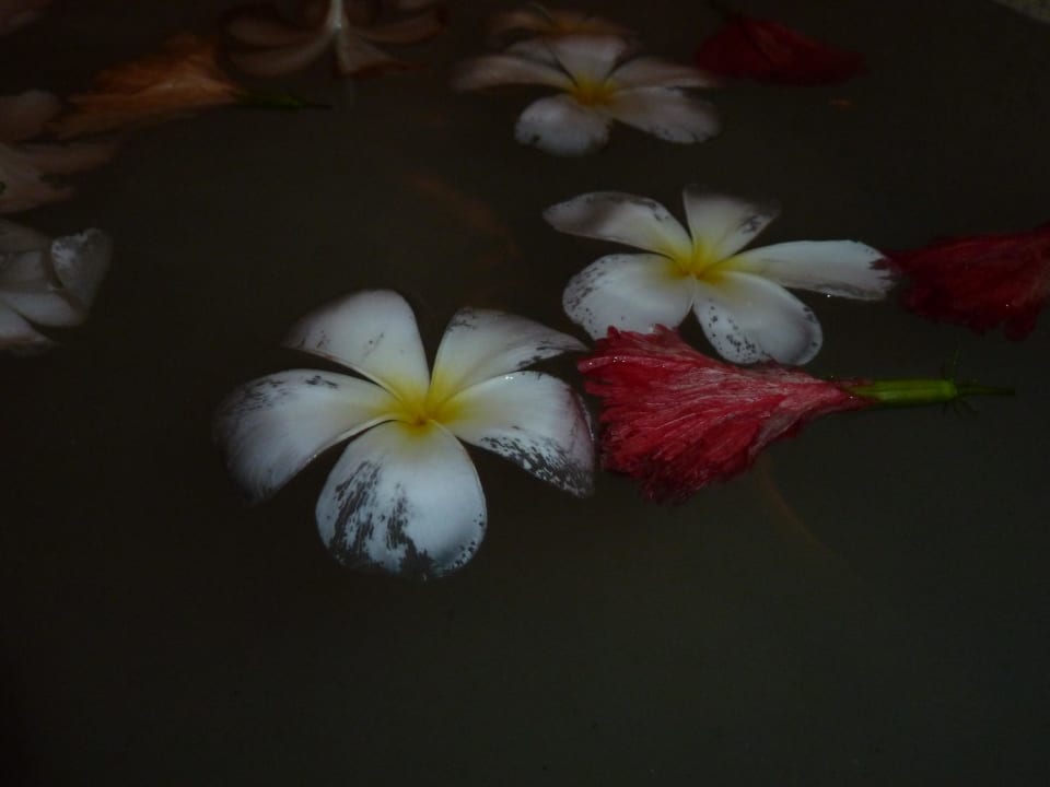 SPA Bereich Kuramathi Maldives