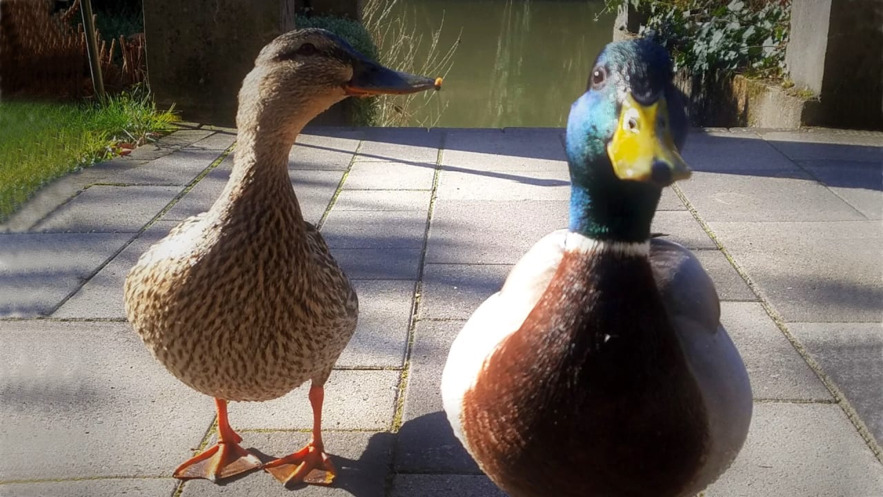 Sonstiges Haus am Fluss