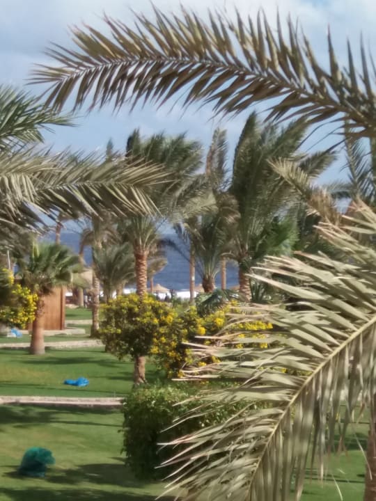 Ausblick Three Corners Sea Beach Resort