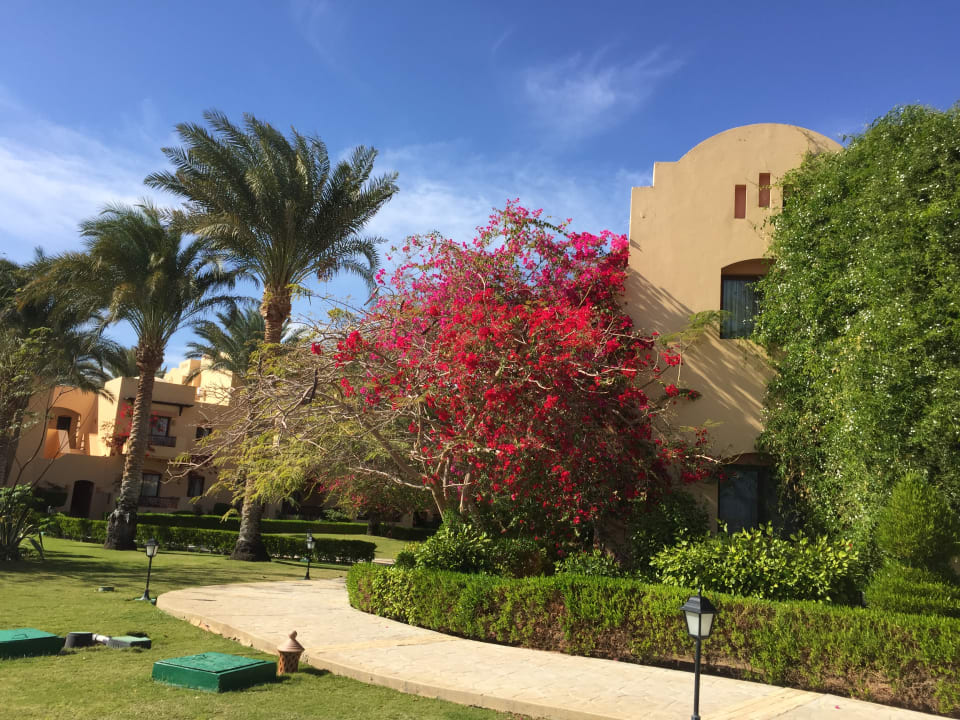 Gartenanlage Steigenberger Coraya Beach - Adults only