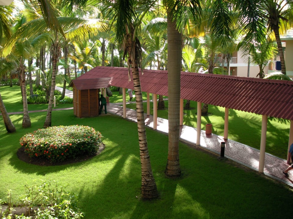 Weg zum Strand Grand Palladium Punta Cana Resort & Spa