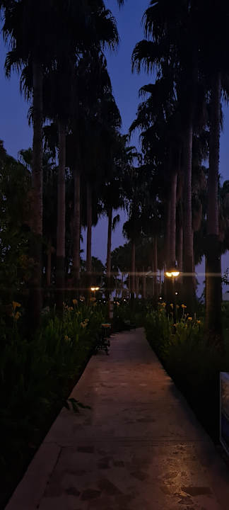 Gartenanlage Royal Atlantis Beach Hotel