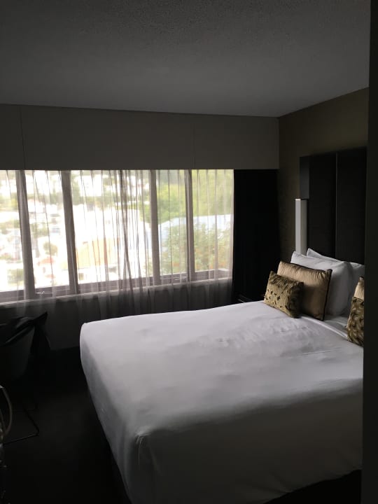 Zimmer Mövenpick Hotel Wellington