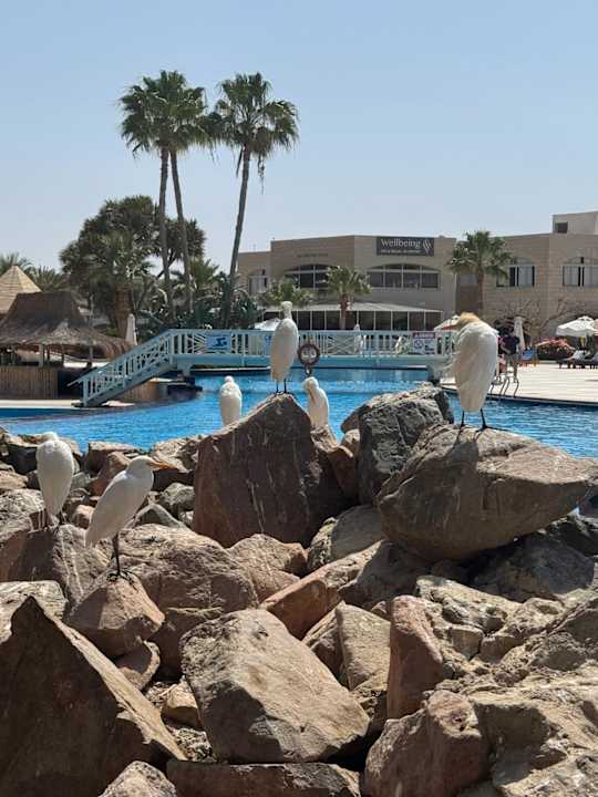 Pool Brayka Bay Resort