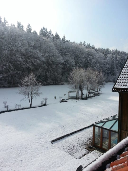 Ausblick vom Zimmer Hotel Im Krummbachtal
