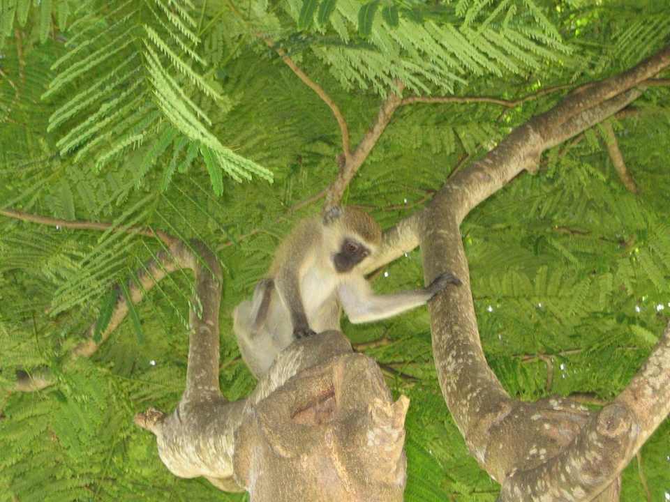 Besucher Hotel Southern Palms Beach Resort