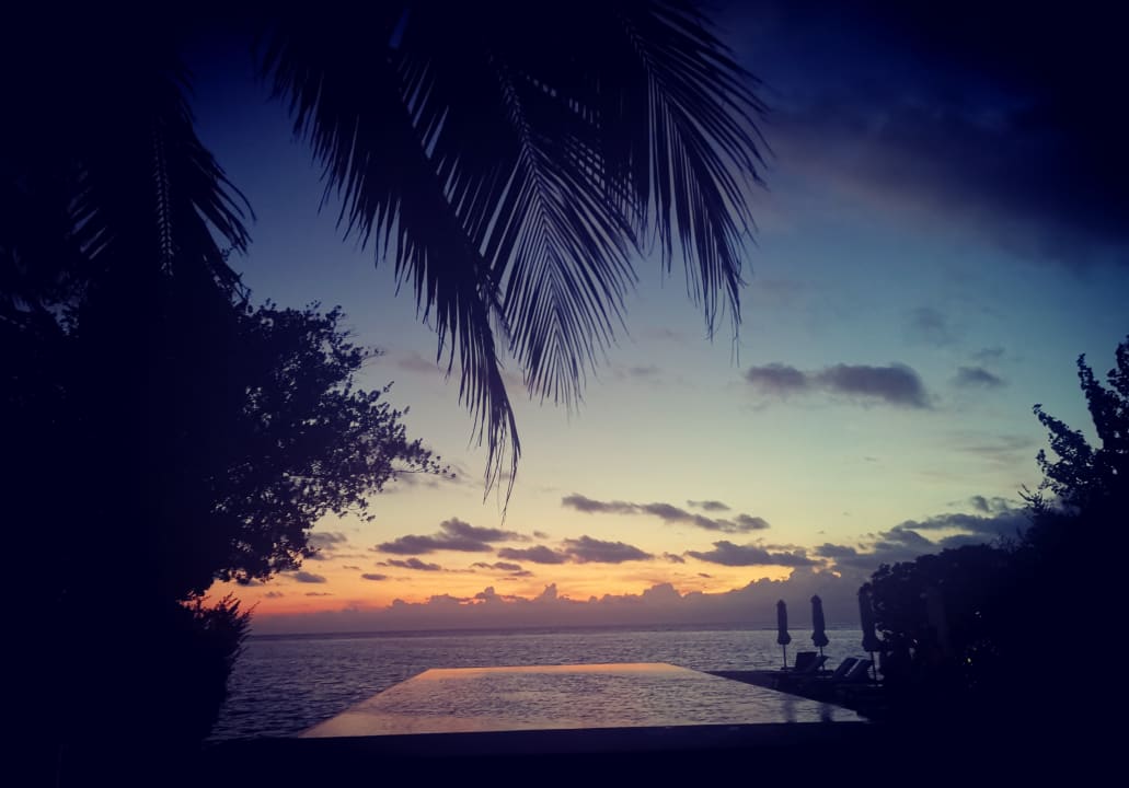 Pool Summer Island Maldives
