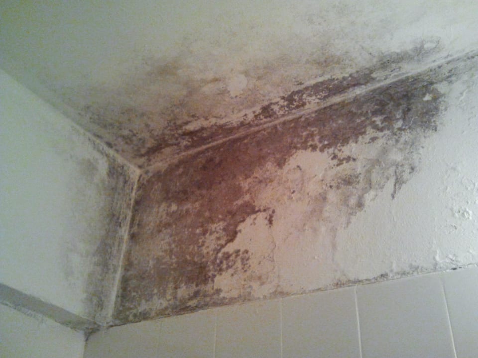 Mould in the bathroom Hotel Varshava