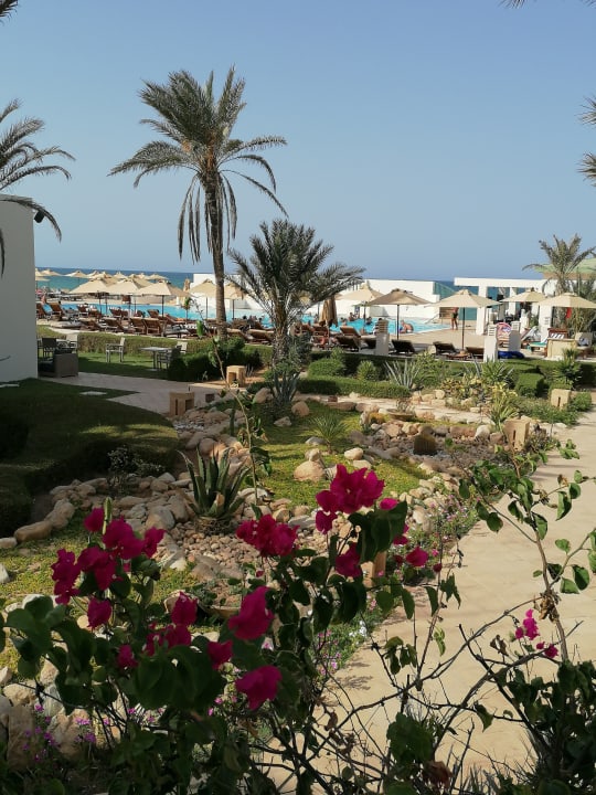 Gartenanlage Ulysse Djerba Thalasso & Spa