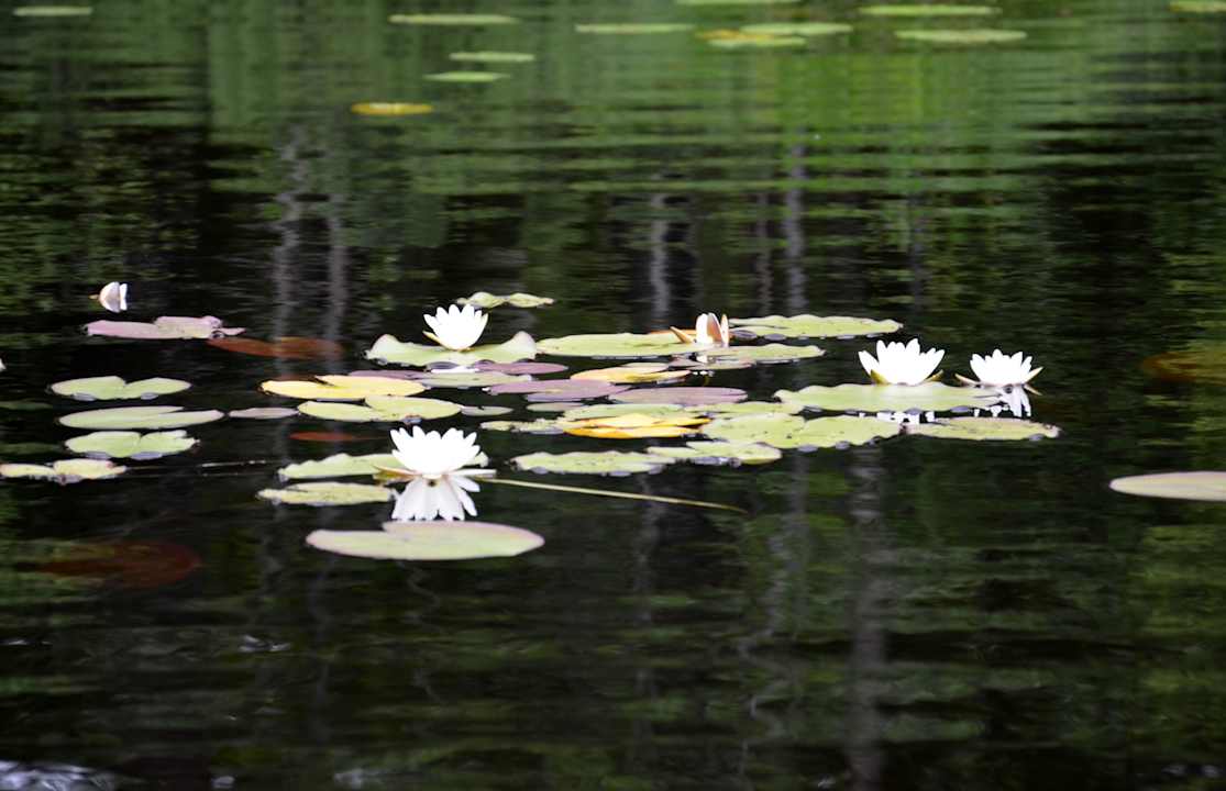 See Ferienhaus Elsemåla 1