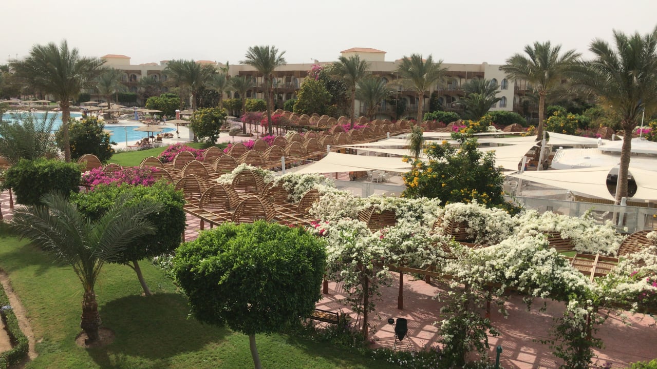 Gartenanlage Desert Rose