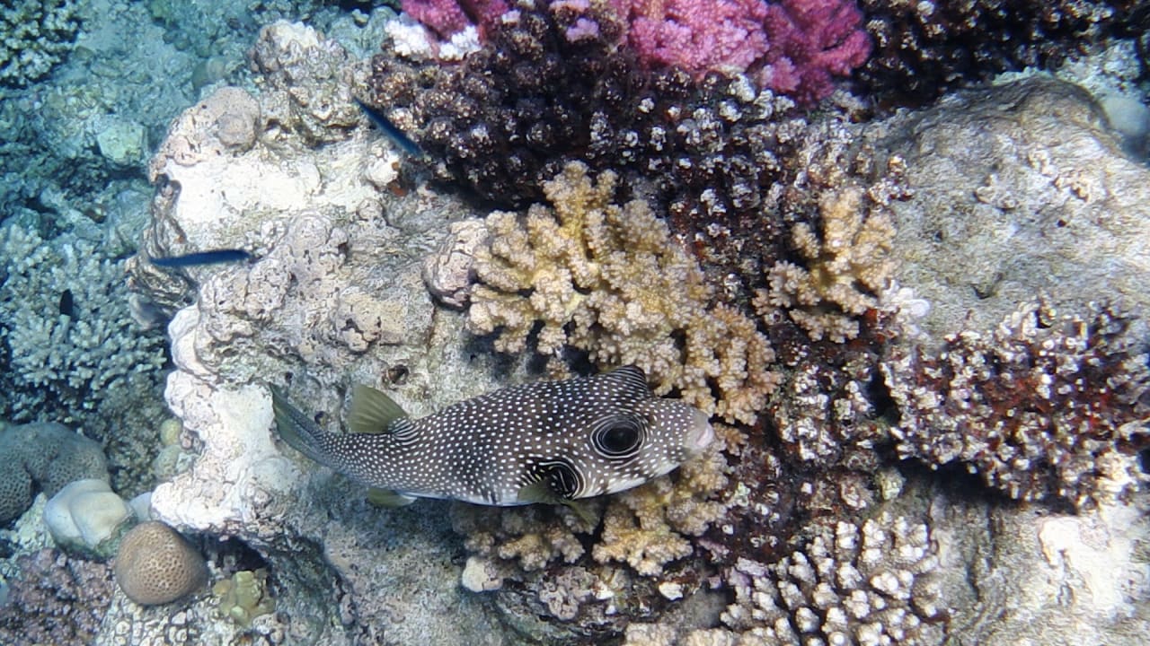 Strand Grand Waterworld Makadi