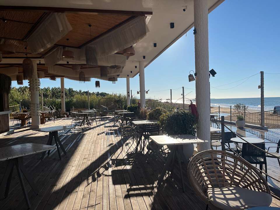 Strand Seashell Vega