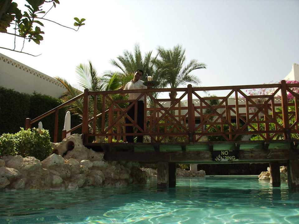 Blick aus dem Pool Ghazala Gardens