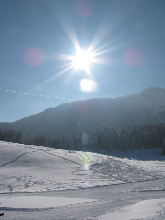 Aussicht DAV Albert-Link Hütte