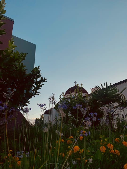 Gartenanlage Harmony Boutique Resort