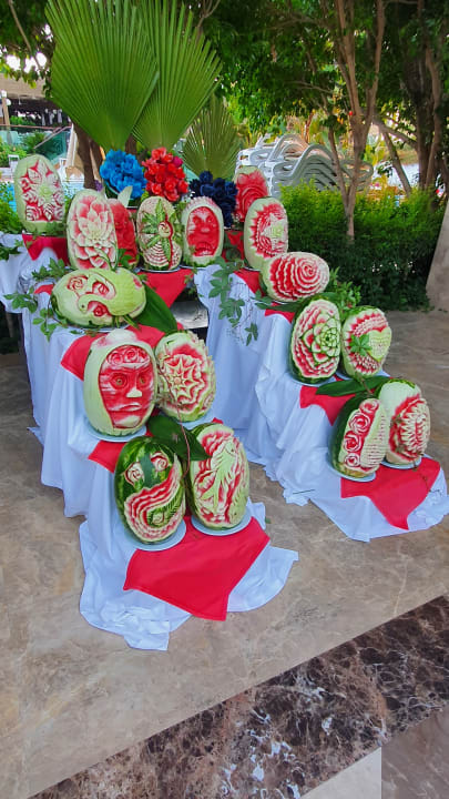 Gastro Sentido Trendy Verbena Beach