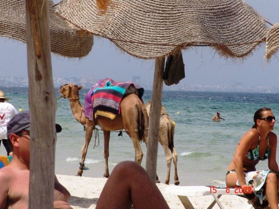 Plaża Ruspina Beach Resort