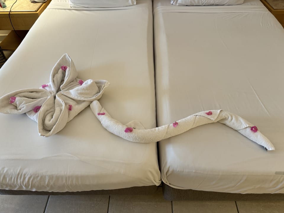 Zimmer Hotel JAZ Makadi Star & Spa