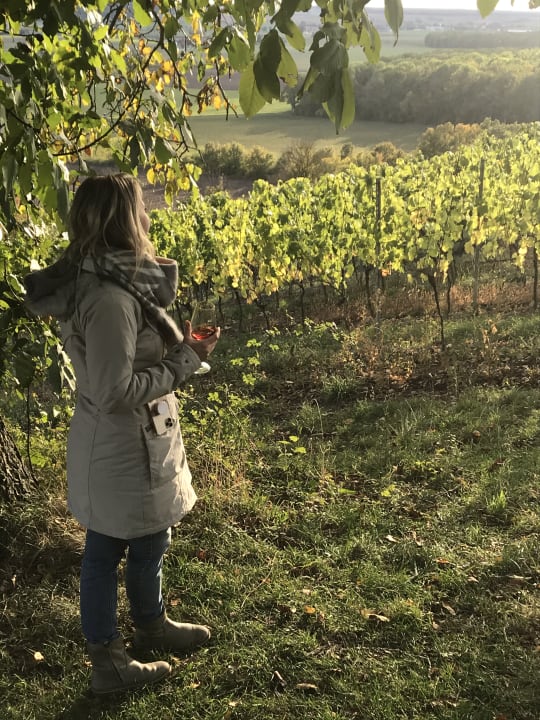 Ausblick Winzer-Bauernhof Felbinger