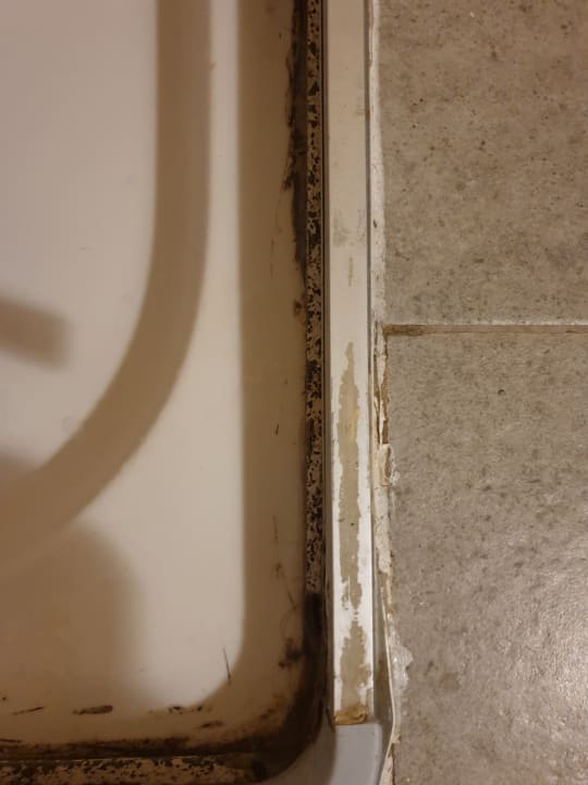 Zimmer Clover Magic Nova Beach